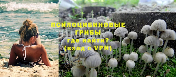 дурь Алексеевка