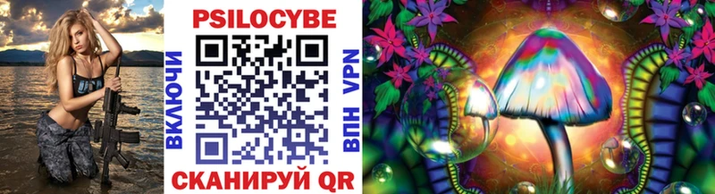 darknet клад  Пудож  Псилоцибиновые грибы мухоморы 