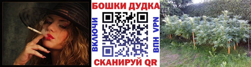 Бошки Шишки LSD WEED  OMG зеркало  даркнет состав  Пудож 